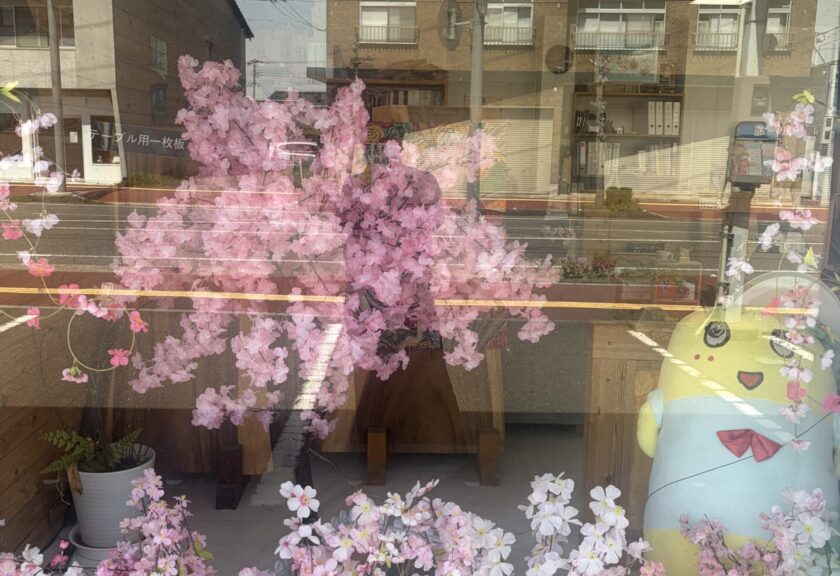 店舗に桜🌸飾っています！